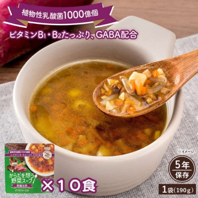 【からだを想う野菜スープ】和風五目10食セット/レトルト/食物アレルギー対応/長期保存/防災食