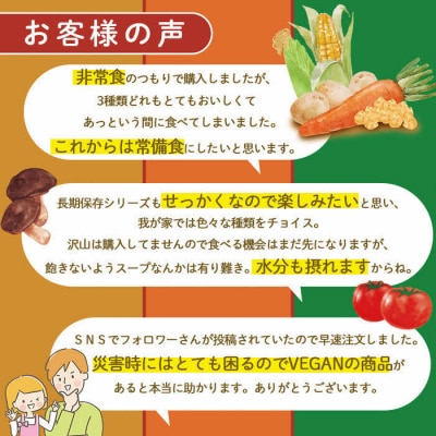 【からだを想う野菜スープ】ミネストローネ10食セット/レトルト/食物アレルギー対応/長期保存/防災食