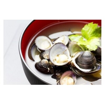 ぷっくり大きな身!食べて美味しい!神西湖産大和しじみ＜3回定期便＞【3-052】