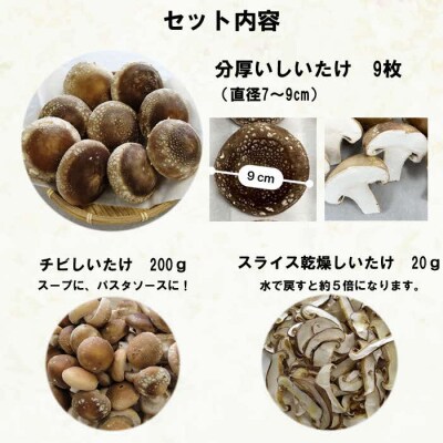 朝採り新鮮!分厚いしいたけ　チビしいたけセット【1_5-041】