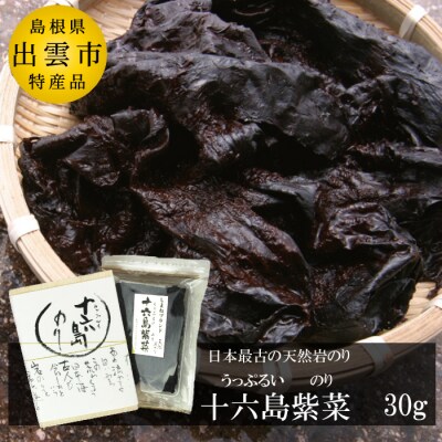 【希少】天然岩のり　十六島海苔(うっぷるいのり)【1_4-033】