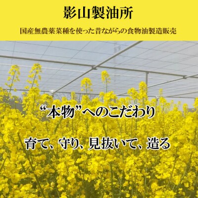「出雲の菜種油」大2本詰【3-023】
