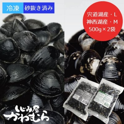 どちらがお好き?【宍道湖産】【神西湖産】冷凍砂抜しじみセット【1-027】