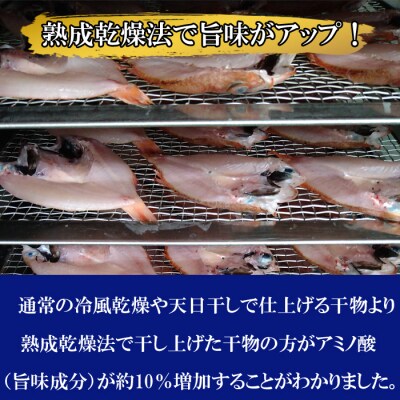 海の幸干物セットC