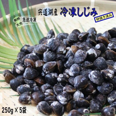 宍道湖産冷凍しじみ【1-028】