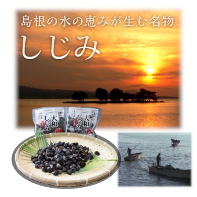宍道湖産冷凍しじみ【1-028】