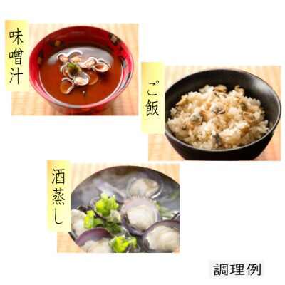 宍道湖産冷凍しじみ【1-028】