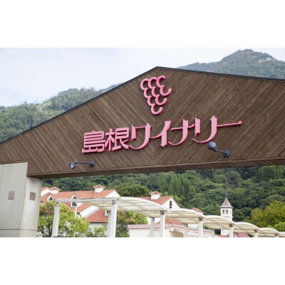 オレンジワイン2種セット