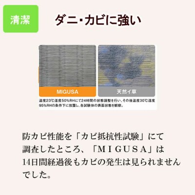 MIGUSAキッチンマット(2.4m-グラウンド)【2_1-012】