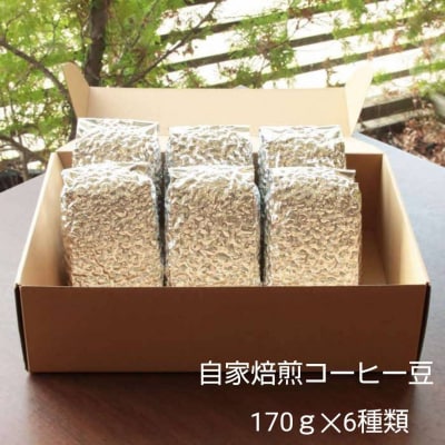 【挽き方:豆】お家でカフェ♪アメリカンスペシャリティ認定豆170g×6袋