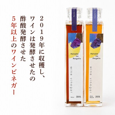 ワインビネガー 2019年 紅白200ml2本セット