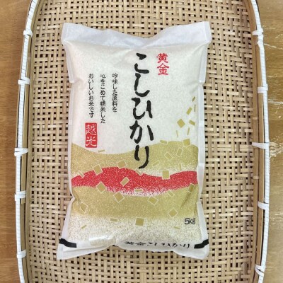 【ふるさと納税】お米　令和7年産　出雲コシヒカリ5kg