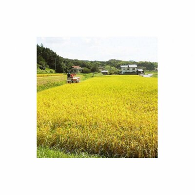 【ふるさと納税】お米　令和7年産　出雲コシヒカリ5k×2袋