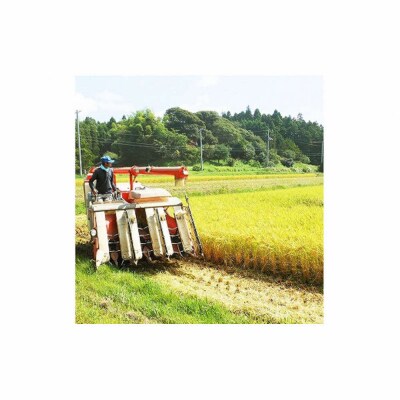 【ふるさと納税】お米　令和7年産　出雲コシヒカリ5k×3袋