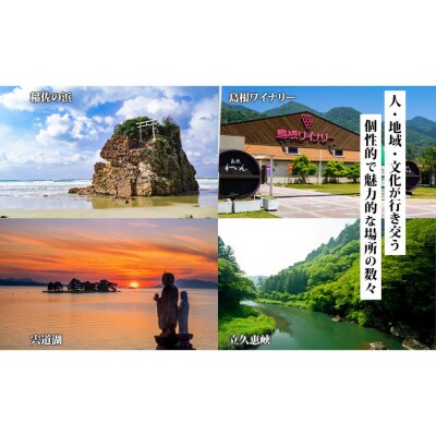 島根県 出雲市 後から選べる 旅行クーポン(300,000円分) 旅行券 宿泊券