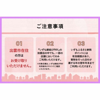 出雲市 デジタル地域通貨「いずも縁結びPAY」 いずもふるさと納税ポイント9,000pt