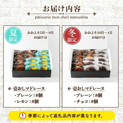 壱おしマドレーヌ プレーン と 季節の マドレーヌ の 2種類 計16個 食べ比べ 個包装