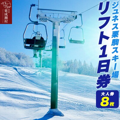 ジュネス栗駒スキー場 リフト1日券(大人券8枚)|07_akr-030101h