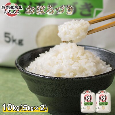 【2025年産】 北海道羽幌産 特別栽培米 おぼろづき10kg (5kg×2袋)