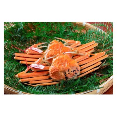 【数量限定】プロが認めるこだわり浜ゆで松葉かに(1.0kg～1.2kg×2)