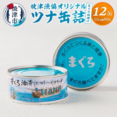 焼津漁協オリジナルツナ缶詰(まぐろ油漬け)12缶入(a12-163)