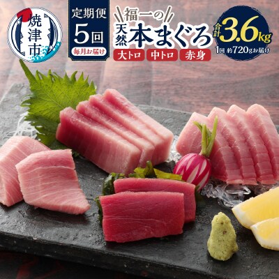 【定期便】 天然本まぐろセット 5回届け(b200-036)