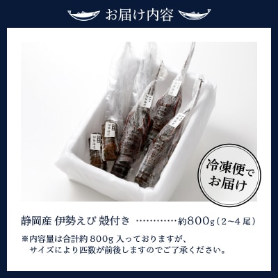 伊勢海老 三昧セットA 刺身用+焼物用(a40-075)