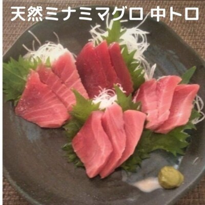 天然 南 鮪 (マグロ) 中トロ 600g 入り セット(a20-285)