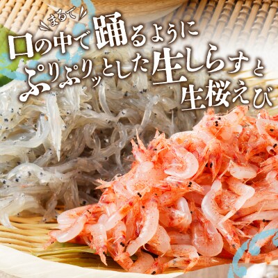 【定期便 3回】 焼津産生しらす(100g×3) 生桜えび(70g×3個)(a30-221)
