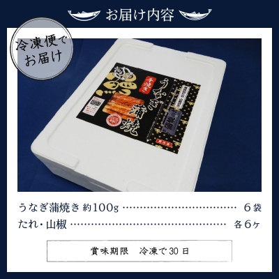 国産 うなぎ 蒲焼き 約100g×6袋(a28-008)
