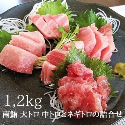 天然南鮪　大トロ,中トロとネギトロの詰合せ 約1,2kg入り(a30-228)