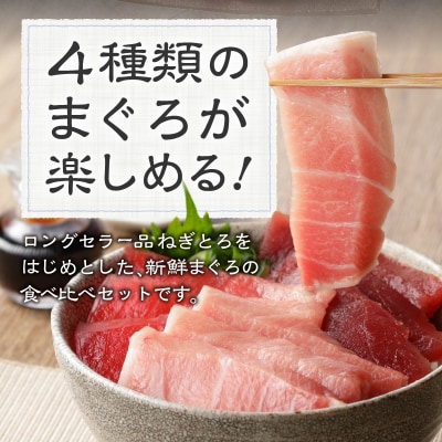 マグロ 大トロ 中トロ ねぎとろ 詰合せ セット S9(a55-010)