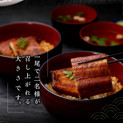 【定期便4回】 鰻 長焼き(b100-058)