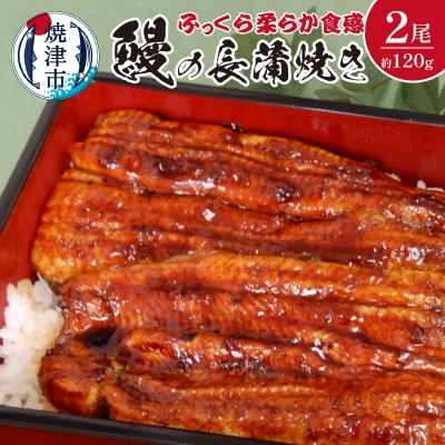 鰻 の 長蒲焼き 2尾 詰合せ(a19-013)