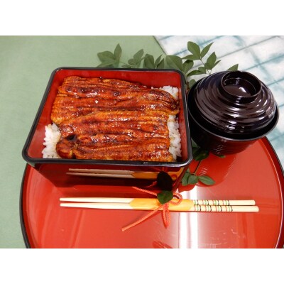 鰻 の 長蒲焼き 2尾 詰合せ(a19-013)