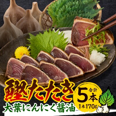 焼津!大葉 にんにく かつお たたき 5本 セット(a10-870)