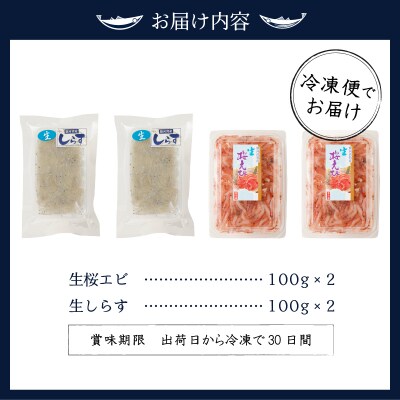 お刺身・生桜えび、生しらす・各2(a10-906)