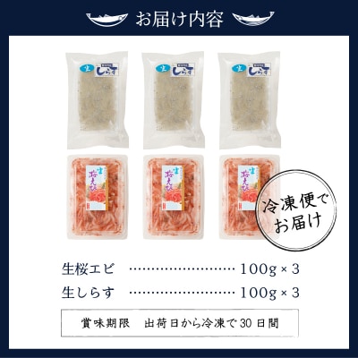 お刺身・生桜えび、生しらす・各3(a14-038)