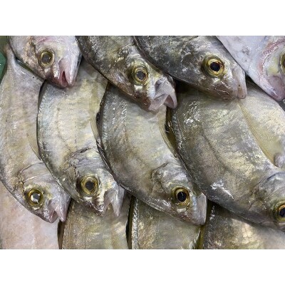【チルドでお届け】朝干しひものセット5種以上!(a10-431)