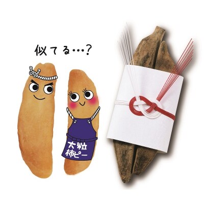焼津大粒柿ピー 節のたね(a10-941)