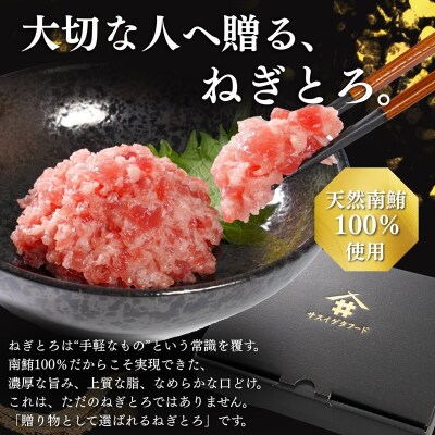 天然 海のダイヤ 南鮪 ネギトロ 約100g×5(a15-573)