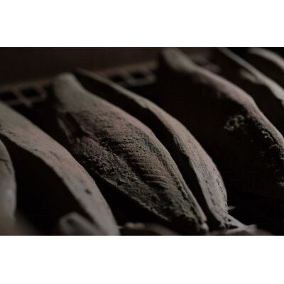 焼津産 鰹本節 本枯節 仕上節 2本(雄節 雌節)(a10-1284)