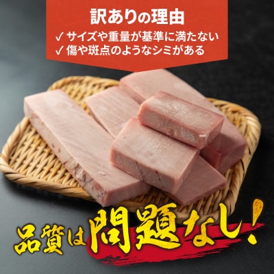 【訳アリ】天然 大目鉢鮪 柵 1.3kg(a13-150)