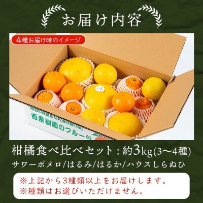 【期間限定】柑橘の宝石箱♪西果樹園柑橘食べ比べセット:約3kg 3種以上