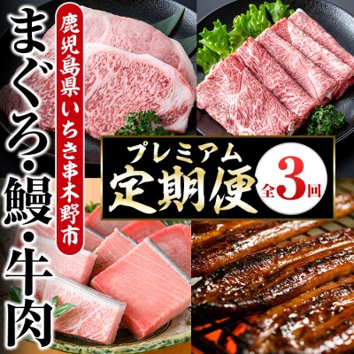 <3ヶ月定期便>いちき串木野プレミアム定期便(マグロ・鰻・牛肉)