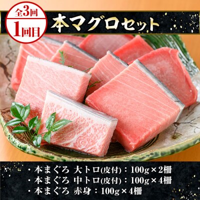 <3ヶ月定期便>いちき串木野プレミアム定期便(マグロ・鰻・牛肉)