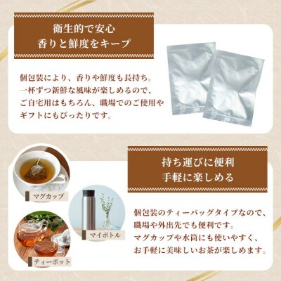 緑茶 ティーバッグ 3g×20袋 計 60g 個包装 で 使いやすい 有機栽培 の 鹿児島 の お茶
