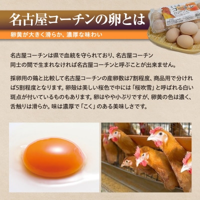 卵に味の違いが!? 家族団らんの話題に新鮮たまごの食べ比べセット(10個×3種類)