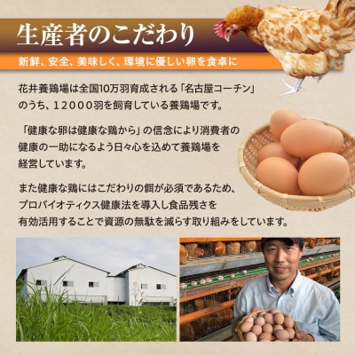 【3か月定期便】日本三大地鶏!! 「純系　名古屋コーチンの卵」(30個)