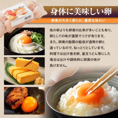 【3か月定期便】日本三大地鶏!! 「純系　名古屋コーチンの卵」(30個)